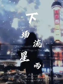 随笔：下场流星雨