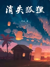 消失狐狸