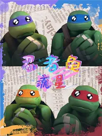 忍者龟：流星