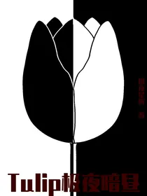 Tulip极夜暗昼