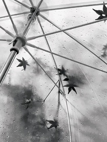 沈泉锐章昊：闹鬼惊魂