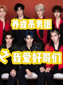 养成系男团之我爱好哥们