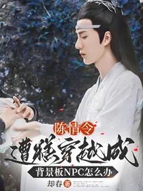 陈情令：糟糕穿越成背景板NPC怎么办
