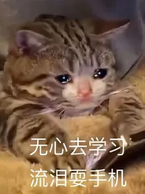 凹凸乙女段子集合