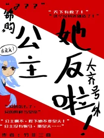 大齐号外：公主她反啦