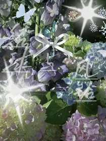绣球与风铃