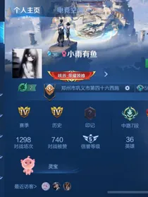王者经历