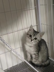 重生之我在全职搞cp