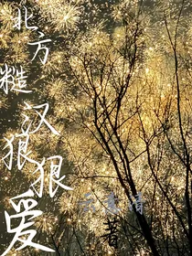 北方糙汉狠狠爱