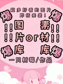 图片库or素材库