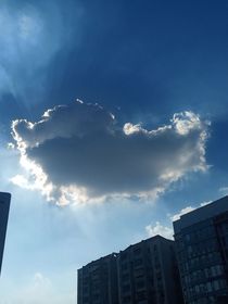 爱吗？或许吧