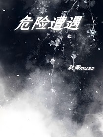 危险遭遇