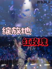 绽放地红玫瑰