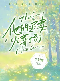 他的追妻火葬场