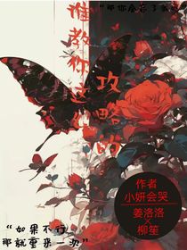 谁教你这么攻略的