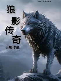 狼影传奇：天狼传说（中下）
