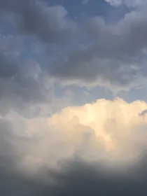 请神见证，我会带你回到那片海洋