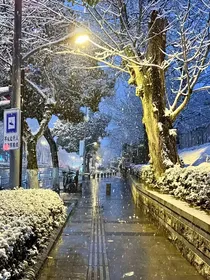 去雨村过年