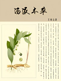 汤液本草