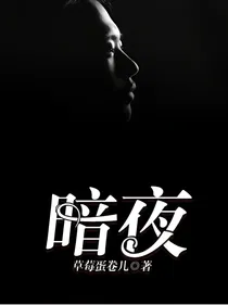 -暗夜