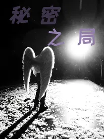 秘密之局
