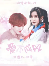 我的追星计划