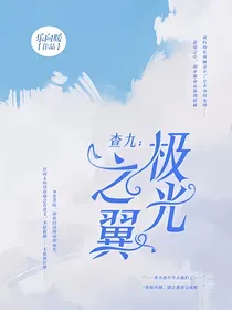 查理九世：极光之翼