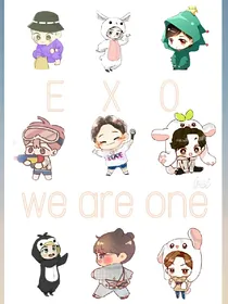 EXO专用美图铺