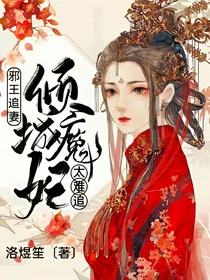 邪王追妻：倾城魔妃太难追