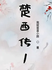 楚西传