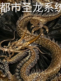 都市圣龙系统