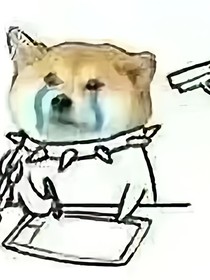 我和我的小伙伴们不得不说的二三事