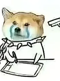 我和我的小伙伴们不得不说的二三事
