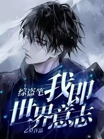 综盗笔：我即世界意志
