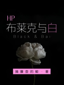 HP：布莱克与白