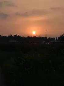 综影视月光