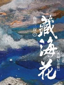 藏海花（外传）