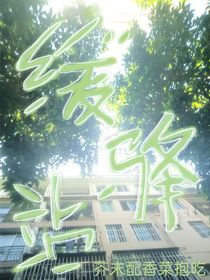 缓驿站