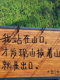 笨蛋美女闯入娱乐圈
