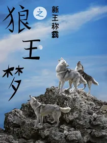 狼王梦之新王称霸（2部）