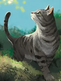 猫武士：也曾期望