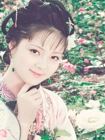 紅樓夢：共嬋娟