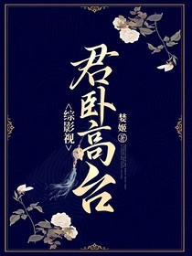 综影视：君卧高台