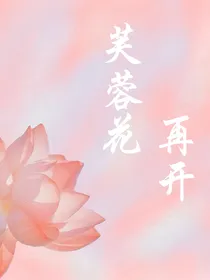 芙蓉花再开