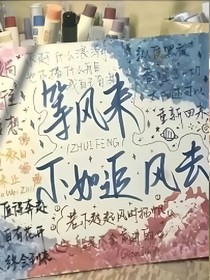 凹凸：等风来不如追风去