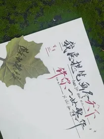 残爱成殇