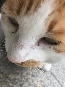 质问我