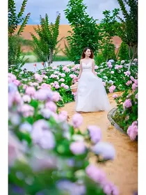 腹黑儿子妖孽娘亲