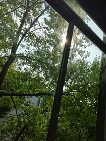 疯子的我们