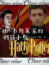 HP：钢筋小姐